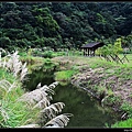 20151205北市山水綠生態公園15