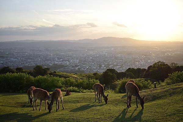 SKY_0114.JPG SKY_0114.JPG