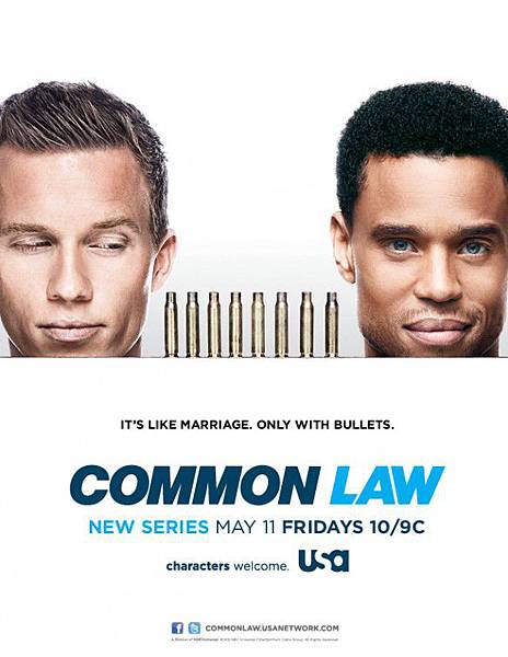 Common Law Season 1