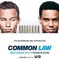 Common Law Season 1