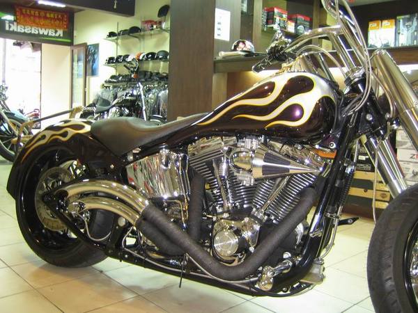 哈雷HARLEY-DAVIDSON FLSTF.jpg