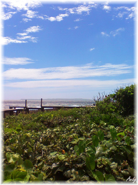 2010/07/02 墾丁行 鵝鑾鼻國家公園