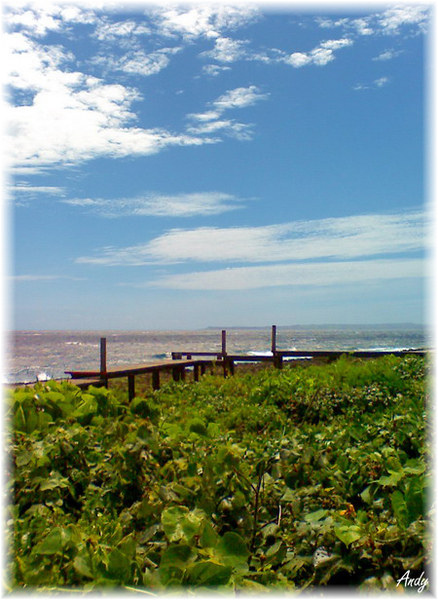 2010/07/02 墾丁行 鵝鑾鼻國家公園