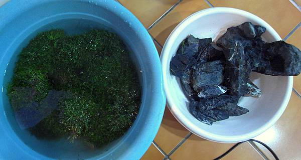 素材木頭4-30(2).JPG 素材木頭4-30(2).JPG