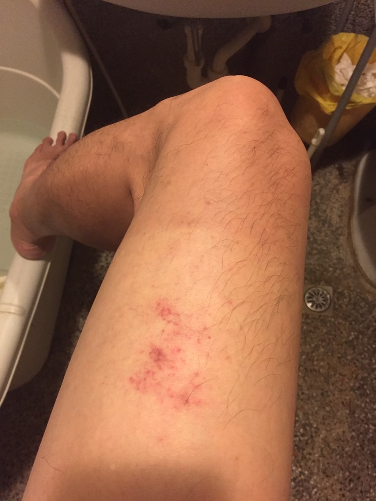 S__22151219.jpg S__22151219.jpg