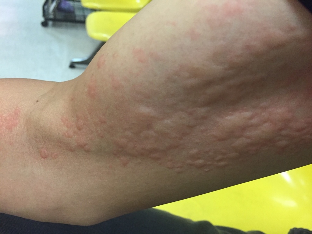 S__22151223.jpg S__22151223.jpg