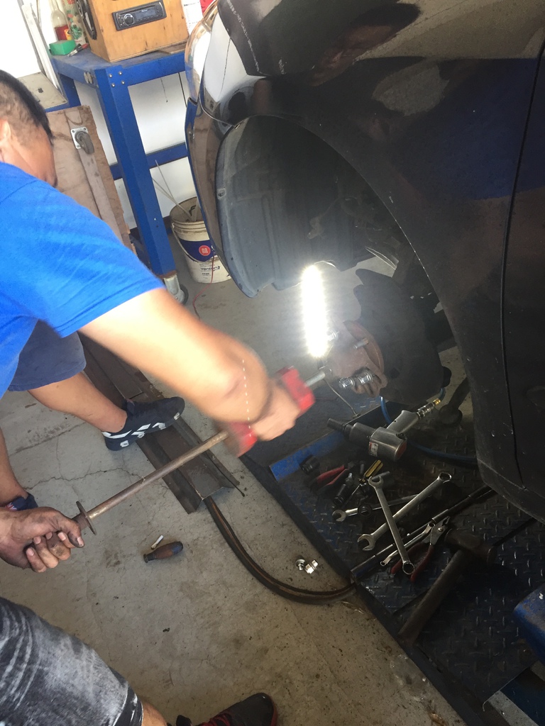 IMG_3231.JPG IMG_3231.JPG