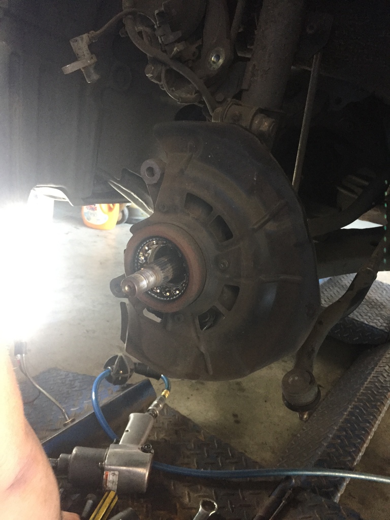 IMG_3233.JPG IMG_3233.JPG