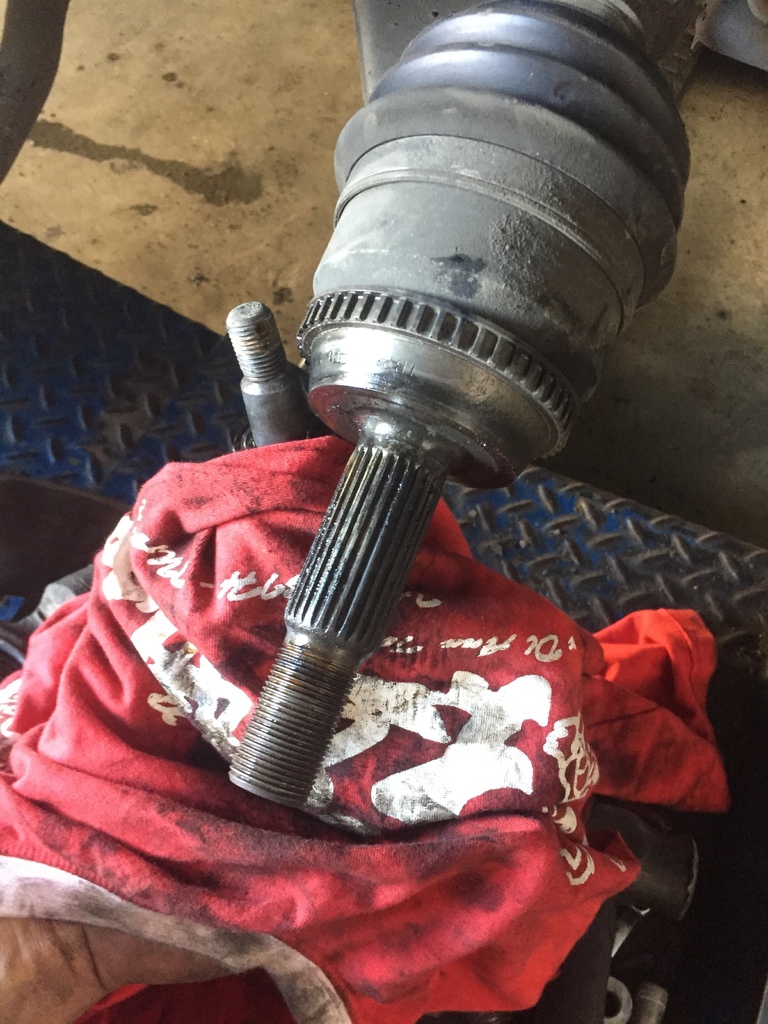 IMG_3239.JPG IMG_3239.JPG