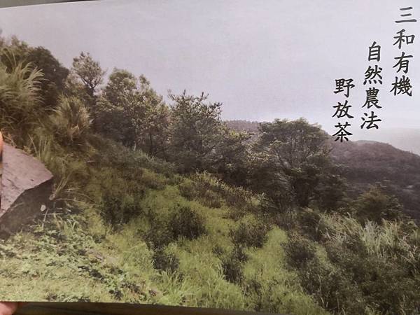 170548.jpg 170548.jpg