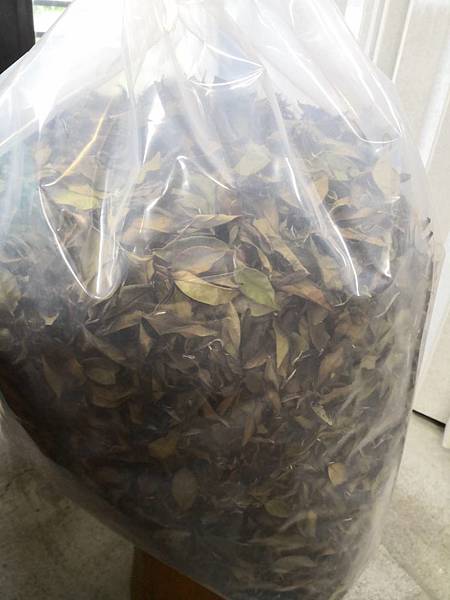 170563.jpg 170563.jpg