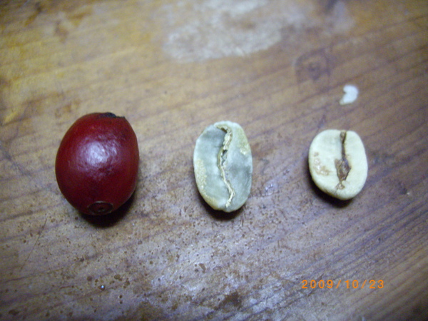 IMGP2107_調整大小.JPG IMGP2107_調整大小.JPG