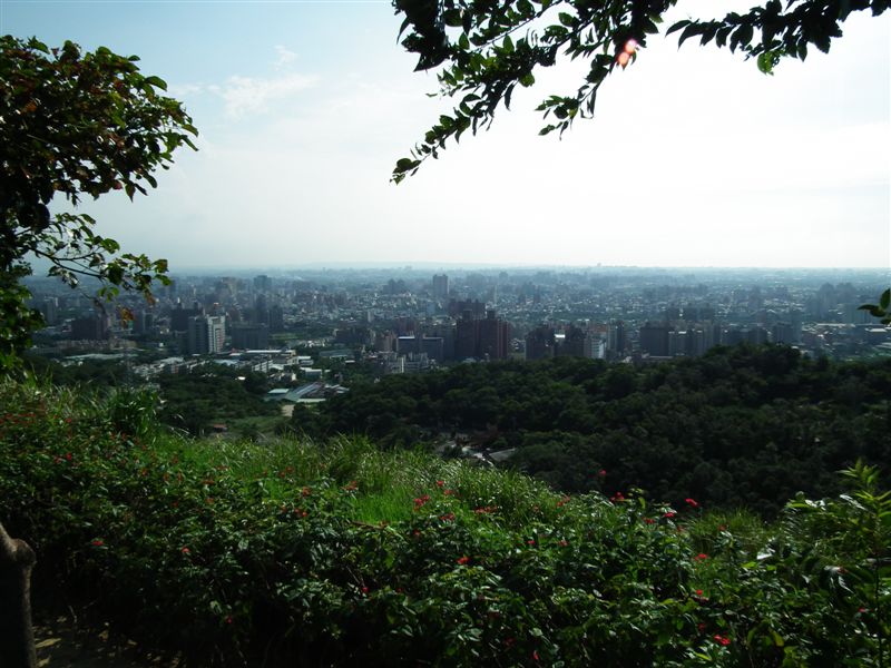 照片 036.jpg 照片 036.jpg