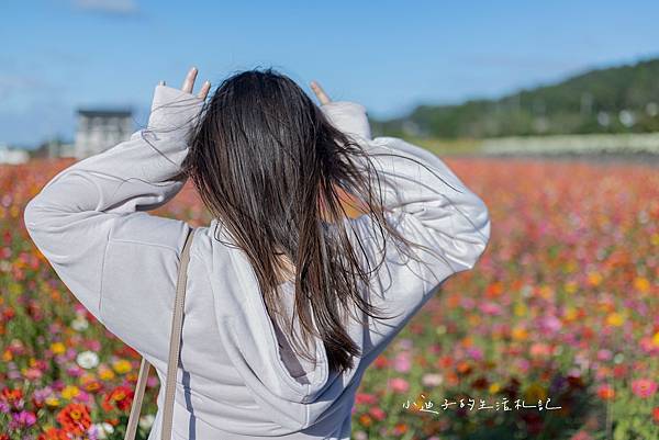 杭菊生活節 (7)