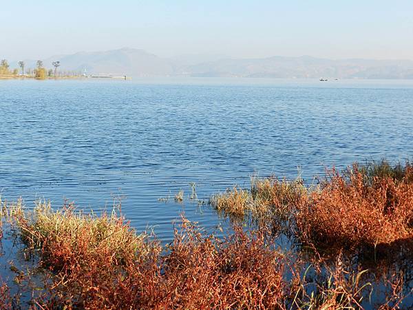 蒼山洱海大理著名美景.jpg 蒼山洱海大理著名美景.jpg