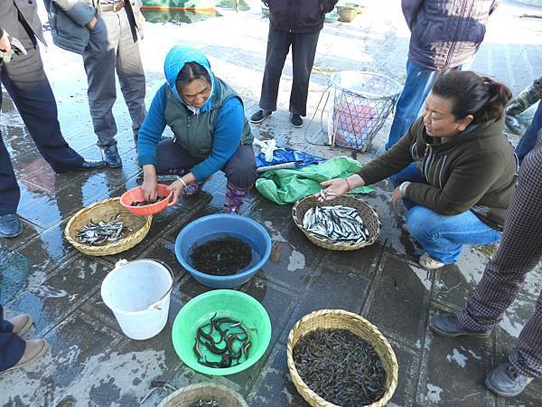 搶購洱海魚蝦的主婦們.jpg 搶購洱海魚蝦的主婦們.jpg