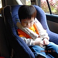 DSCN0800.JPG