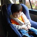 DSCN0801.JPG