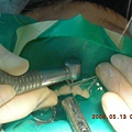 DSCN1685.JPG