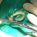 DSCN1688.JPG