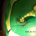 DSCN1691.JPG