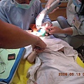DSCN1696.JPG