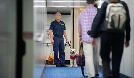 中國留學生手機藏蘿莉AV　一進澳洲就被驅逐