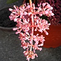 DSCN3415.jpg