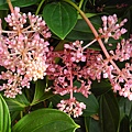 DSCN3416.JPG