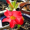 DSCN3425.jpg