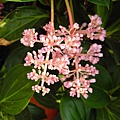 DSCN3426.JPG