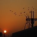 DSCN3508.JPG