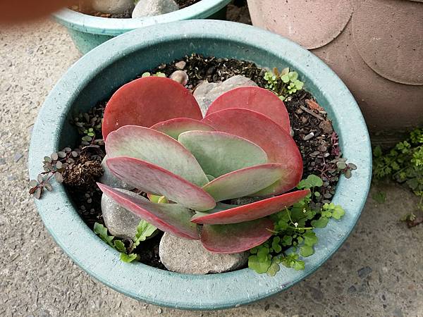 2014-02-16 13.35.53.jpg