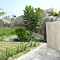 DSCN5085.JPG