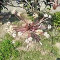 DSCN5090.JPG