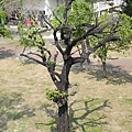 DSCN5097.JPG