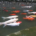 20140316_171816_萬里路.jpg