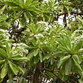 DSCN4929.JPG