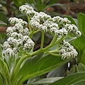 DSCN4931.JPG