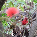 DSCN4986.JPG