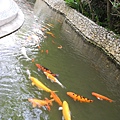 DSCN5014.JPG