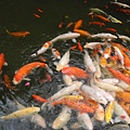 DSCN5016.JPG