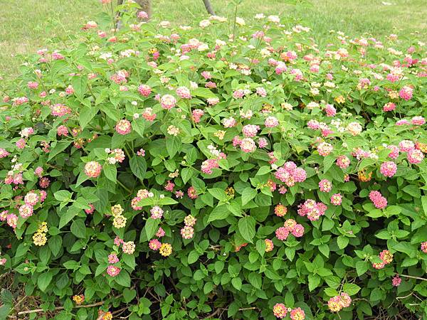 DSCN5384.JPG
