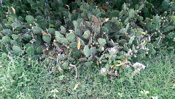 2014-06-03 06.38.00.jpg