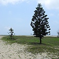 2014-06-04 12.22.22.jpg