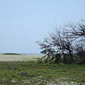 2014-06-04 12.23.06.jpg