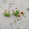 2014-06-04 12.25.42.jpg