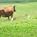 2014-06-04 12.52.17.jpg