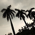 DSCF1188.JPG