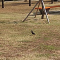 2014-12-07 13.49.08.jpg